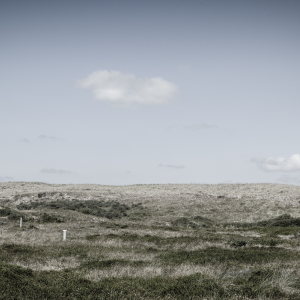 Dünenlandschaft im Pirolatal auf Langeoog, August 2022