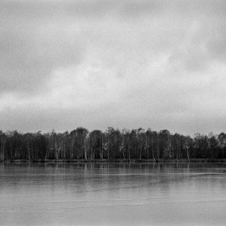 Birkenwald am See, Hannover 2006, Foto: Oliver Hoffmann