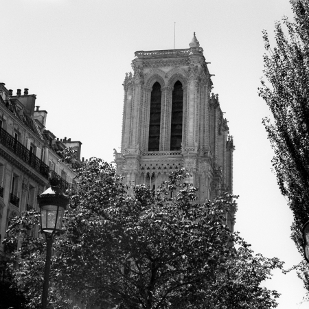 La Notre Dame, Paris, 2010
